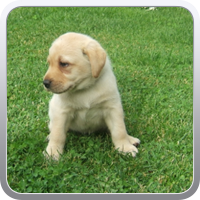 Heidi_11.06.2010