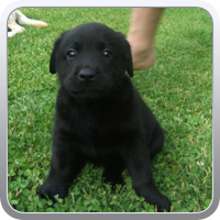 Hugo_11.06.2010