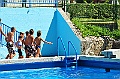 bazen_ukova_21.08.2011_0016