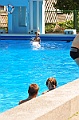 bazen_ukova_21.08.2011_0021