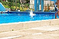 bazen_ukova_21.08.2011_0026