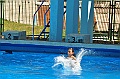 bazen_ukova_21.08.2011_0047