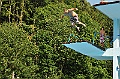 bazen_ukova_21.08.2011_0107