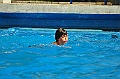 bazen_ukova_21.08.2011_0117