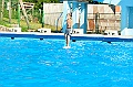 bazen_ukova_21.08.2011_0144
