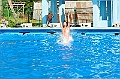 bazen_ukova_21.08.2011_0173