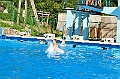 bazen_ukova_21.08.2011_0178