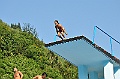 bazen_ukova_21.08.2011_0185