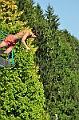 bazen_ukova_21.08.2011_0218