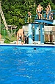 bazen_ukova_21.08.2011_0223