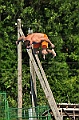 bazen_ukova_24.08.2011_0101