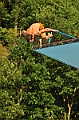 bazen_ukova_24.08.2011_0173