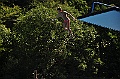 bazen_ukova_20.08.2011_0017