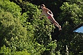 bazen_ukova_20.08.2011_0022