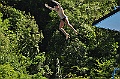 bazen_ukova_20.08.2011_0030