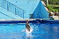 bazen_ukova_20.08.2011_0033