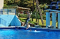 bazen_ukova_20.08.2011_0039
