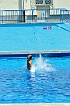 bazen_ukova_20.08.2011_0082