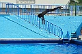 bazen_ukova_20.08.2011_0086