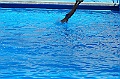 bazen_ukova_20.08.2011_0087