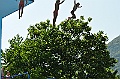 bazen_ukova_20.08.2011_0092