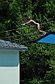 bazen_ukova_20.08.2011_0129