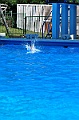 bazen_ukova_20.08.2011_0213
