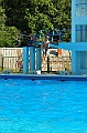 bazen_ukova_20.08.2011_0242