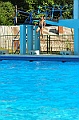 bazen_ukova_20.08.2011_0247