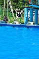 bazen_ukova_20.08.2011_0304