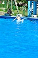 bazen_ukova_20.08.2011_0305