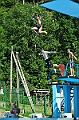 bazen_ukova_20.08.2011_0311