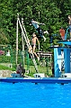 bazen_ukova_20.08.2011_0312
