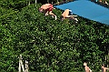 bazen_ukova_20.08.2011_0466