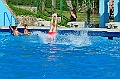bazen_ukova_20.08.2011_0470