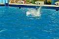 bazen_ukova_20.08.2011_0519