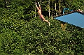 bazen_ukova_20.08.2011_0521