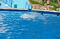 bazen_ukova_20.08.2011_0524