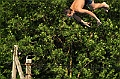 bazen_ukova_20.08.2011_0612