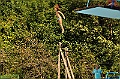 kopalisce_ukova_jesenice_24.08.2012_0046