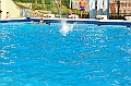 kopalisce_ukova_jesenice_24.08.2012_0135