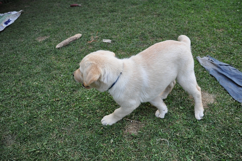 mladicki_11.07.2010_0052.jpg
