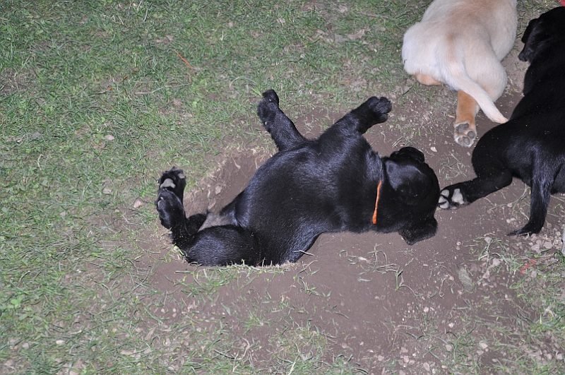 mladicki_11.07.2010_0093.jpg