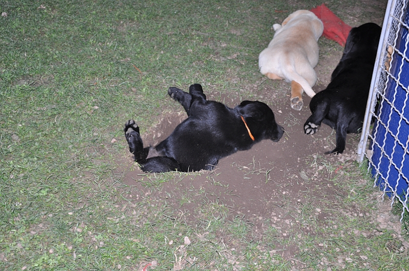 mladicki_11.07.2010_0094.jpg