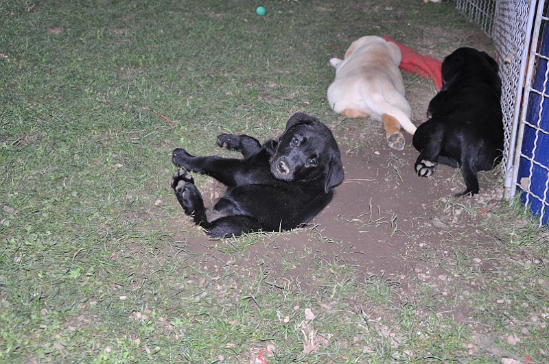 mladicki_11.07.2010_0095.jpg