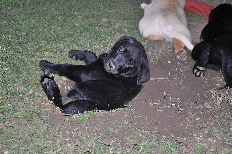 mladicki_11.07.2010_0096.jpg