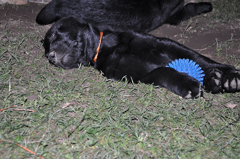 mladicki_11.07.2010_0104.jpg