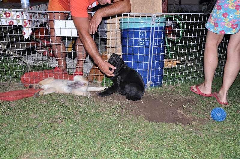 mladicki_11.07.2010_0108.jpg