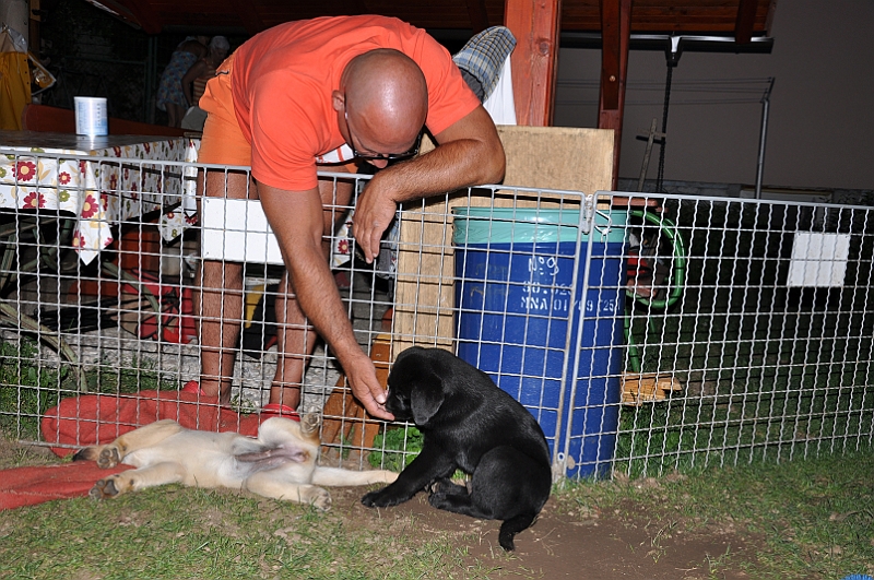 mladicki_11.07.2010_0109.jpg
