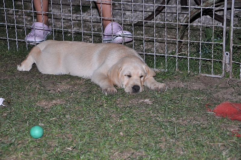 mladicki_11.07.2010_0110.jpg